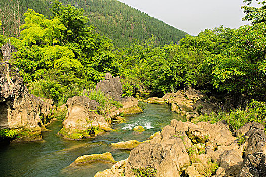 大連育兒嫂多少錢(qián)？選擇育兒嫂服務(wù)的價(jià)格分析與選擇指南