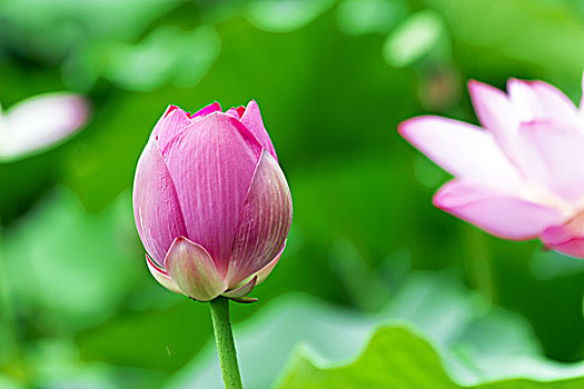 北京當(dāng)保姆一月多少錢(qián)？揭秘北京保姆市場(chǎng)的收入潛力與就業(yè)機(jī)會(huì)