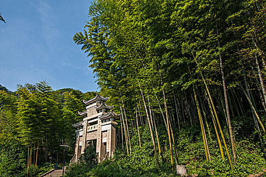 天津開(kāi)荒服務(wù)價(jià)格表揭秘，了解清晰報(bào)價(jià)，讓你省心又省力！