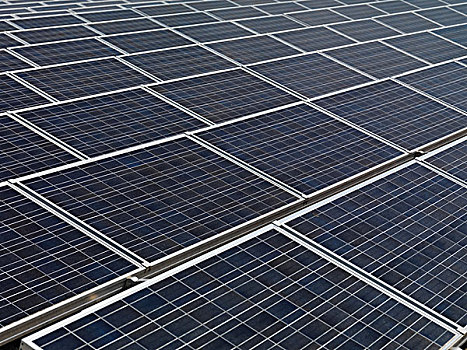 浦東家政協(xié)會電話多少？一站式解決您的家政需求