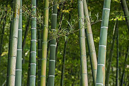 如何選擇合適的保姆阿姨？了解保姆阿姨的月薪行情