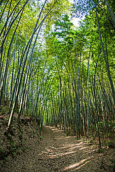 不住家保姆工資多少？揭秘行業(yè)現(xiàn)狀與薪酬趨勢