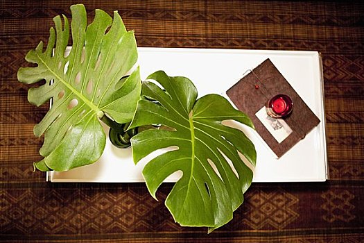昆山保姆一月多少錢？揭開保姆行業(yè)的真實(shí)價格