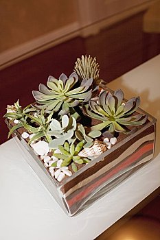 上海初級(jí)月嫂多少錢(qián)？了解價(jià)格，選擇合適的服務(wù)