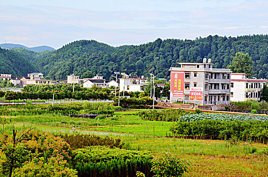 重慶保潔多少錢？讓你輕松了解家政行業(yè)價(jià)格揭秘
