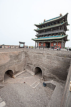 緬因家養(yǎng)多少錢一只？揭開緬因貓價(jià)格背后的秘密