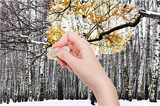 杭州保姆工資多少？揭秘保姆行業(yè)薪資和發(fā)展趨勢(shì)