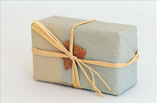 家政保姆月嫂多少錢？?jī)r(jià)格揭秘，讓你明明白白做選擇