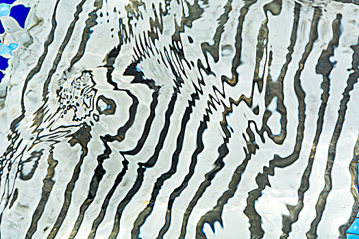 深圳羅湖保姆底薪多少？一文了解深圳保姆行業(yè)薪資內(nèi)幕