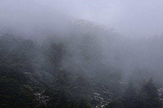 昆山保姆一月多少錢？揭開保姆行業(yè)的真實價格