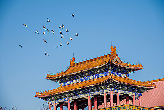 沈陽保潔員工資是多少？探尋這個(gè)行業(yè)的收入真相