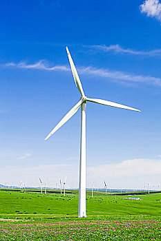 晴雅集票房多少億回本：揭秘電影票房如何影響投資者信心