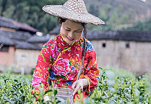 南京保姆多少錢一個月？全方位分析，幫你找到最適合的保姆服務(wù)