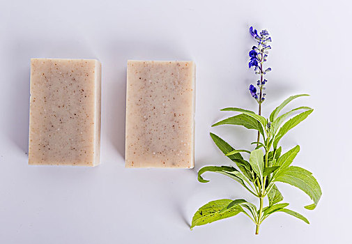 做住家保姆多少錢(qián)？揭秘高薪背后的行業(yè)潛力