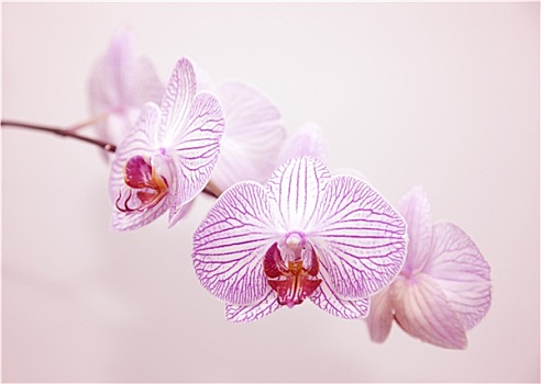 《你好，李煥英》票房與市場(chǎng)價(jià)值深度解析