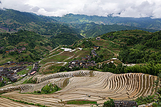 選擇育兒嫂，了解價(jià)格和服務(wù)，幫你為寶寶找到最合適的保姆