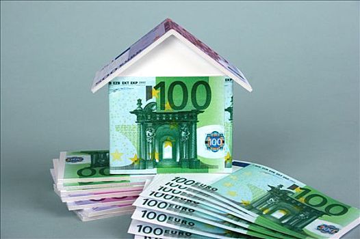 黑金英短多少錢？揭秘黑金英短的魅力與市場價格