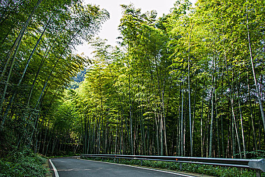 深圳住家阿姨工資多少？了解深圳住家阿姨工資背后的秘密！