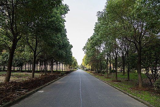 上海別墅住家保姆多少錢？如何選擇高質(zhì)量的住家保姆服務