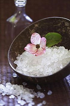 洛陽(yáng)保姆服務(wù)價(jià)格揭秘，了解真實(shí)收費(fèi)，輕松選擇合適的保姆