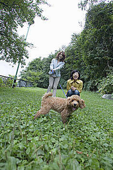 深圳住家保姆多少錢一月？解密住家保姆服務(wù)的價(jià)值與選擇