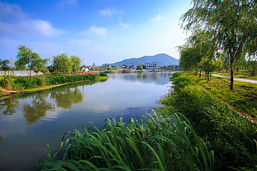 在青島請保姆多少錢？揭開青島家庭服務(wù)的真實(shí)價格