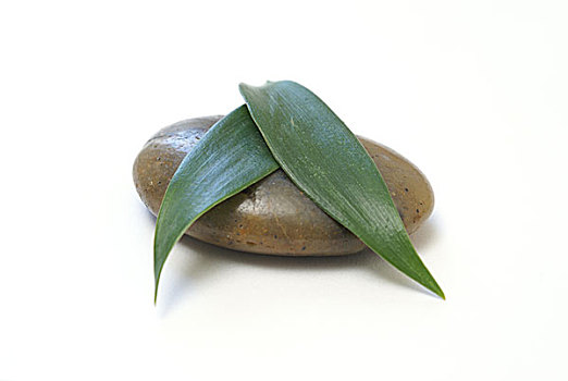 珠海親子鑒定費(fèi)用多少？揭秘親子鑒定的費(fèi)用與注意事項(xiàng)