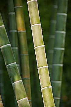 湖州鐘點(diǎn)保姆價(jià)格解析：如何選擇性價(jià)比最高的服務(wù)？