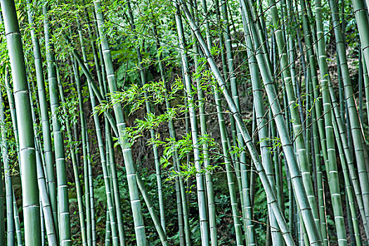 保姆醫(yī)院陪床加多少錢？讓你了解真實情況，幫助你做出最佳選擇！