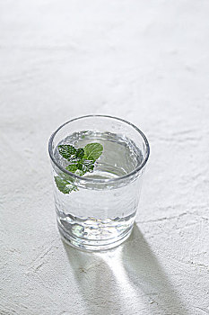 緬因貓一天吃多少喝多少？揭秘緬因貓的飲食與健康管理