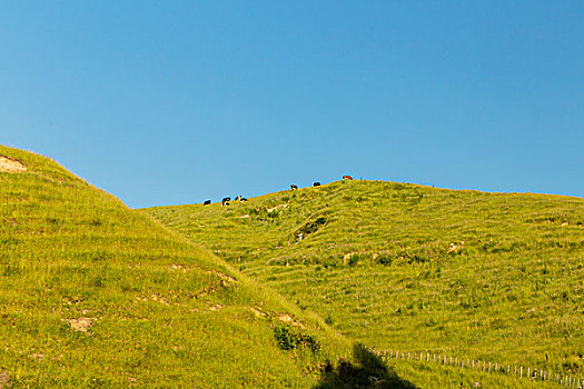 在長(zhǎng)沙請(qǐng)一個(gè)保姆多少錢？揭秘長(zhǎng)沙家政服務(wù)的真實(shí)價(jià)格！