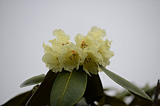 小兒推拿上門多少錢？了解價(jià)格背后的價(jià)值與優(yōu)勢(shì)