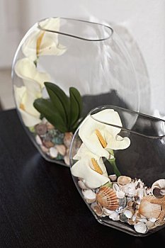雷凌4S店換皮帶多少錢？揭開換皮帶的費(fèi)用與選購(gòu)技巧