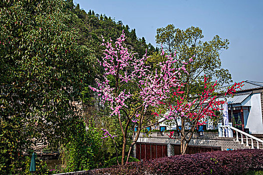 蘇州保姆一般多少錢(qián)？解析雇傭保姆的成本與市場(chǎng)趨勢(shì)