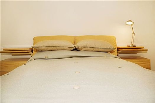 英短藍(lán)金AY12多少錢？揭秘英短藍(lán)金AY12貓咪的價(jià)格與價(jià)值