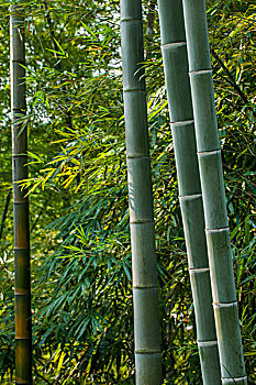 選擇鐘點(diǎn)工保潔服務(wù)，讓您的家煥然一新，輕松享受舒適生活