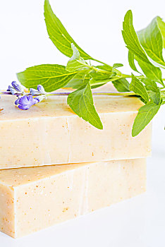 上海月嫂行業(yè)薪資揭秘：月嫂工資有多高？