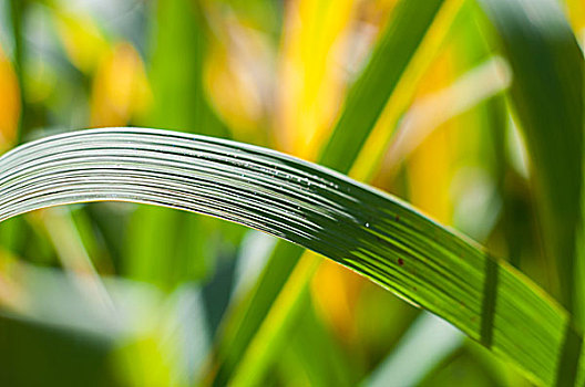 青浦家政鐘點(diǎn)工工資多少？揭秘青浦家政行業(yè)的薪資現(xiàn)狀與發(fā)展前景