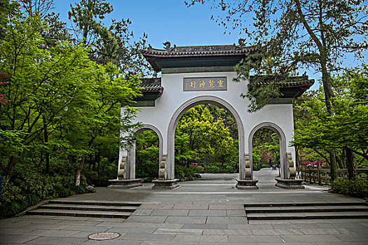 月嫂證需多少錢？揭開背后的市場價值與發(fā)展前景