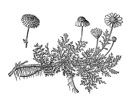 永城保姆價(jià)格多少？讓你輕松了解市場(chǎng)行情，選擇合適的保姆服務(wù)