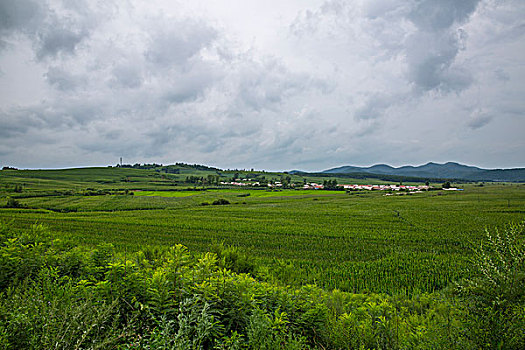 北京住家保姆每月多少錢(qián)？了解住家保姆的服務(wù)與費(fèi)用