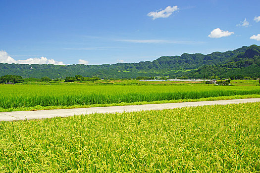 鐘點工做飯保姆多少錢？揭秘家政服務(wù)行業(yè)的收費(fèi)標(biāo)準(zhǔn)與選擇技巧