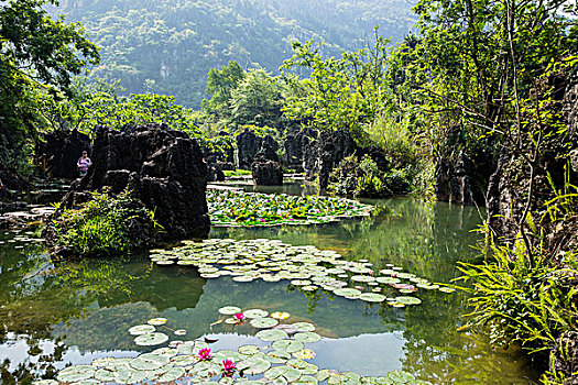 大連護(hù)工多少錢(qián)？揭開(kāi)護(hù)理行業(yè)的真實(shí)面紗
