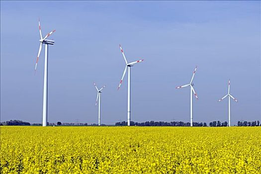紅玲家政公司電話多少錢？專業(yè)家政服務(wù)，讓您的生活更輕松！