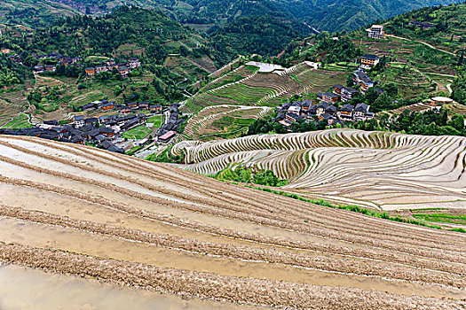 住家保姆多少錢一月？全方位解析費(fèi)用與服務(wù)