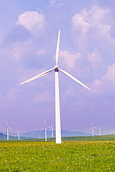 奪冠電影投資成本是多少？揭秘背后的巨額投資與回報