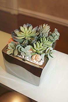 病人護(hù)理多少錢(qián)一天？全面解讀病人護(hù)理費(fèi)用的真實(shí)情況