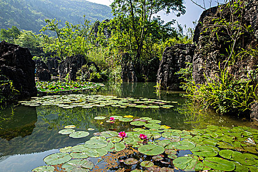 海南做無(wú)創(chuàng)多少錢(qián)？讓你了解無(wú)創(chuàng)檢查的費(fèi)用與優(yōu)勢(shì)