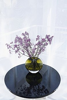 上海金牌月嫂工資多少錢？揭秘上海金牌月嫂行業(yè)的薪資背后