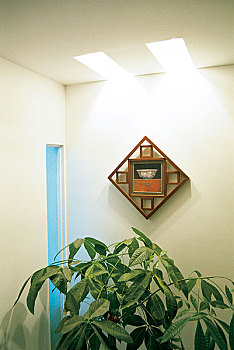 專業(yè)保姆一天多少錢？全面解析保姆服務(wù)價(jià)格與價(jià)值